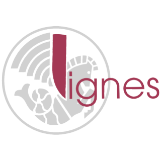 CSE Lignes